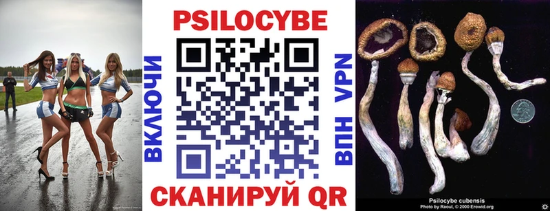 darknet официальный сайт  blacksprut онион  Брюховецкая  Псилоцибиновые грибы Psilocybine cubensis 